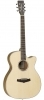 Tanglewood TPE SFCE ZS Tanglewood TPE SFCE ZS